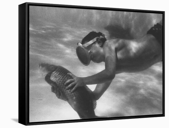 During a Carp Catching Contest at the Boys' Club-Stan Wayman-Framed Stretched Canvas