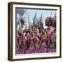 During a Dance, Girls from the Sultanate of Tadjoura, Dress Up in All their Finery and Display the-Nigel Pavitt-Framed Photographic Print