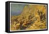 During the Exodus Moses Strikes a Rock and Obtains a Supply of Water for the Israelites-Robert Leinweber-Framed Stretched Canvas