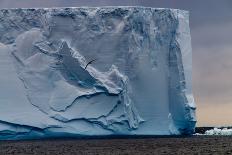 Closeup of a Gigantic Tabular Iceberg in the Weddell Sea around Sunset. Image Taken Enroute from Th-Durk Talsma-Framed Photographic Print