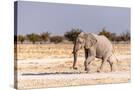 Stretched Canvas