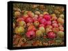 Durnitzhofer Apples, 1993-Ditz-Stretched Canvas