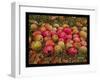 Durnitzhofer Apples, 1993-Ditz-Framed Giclee Print