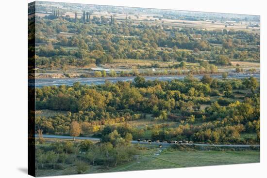 Duruji river, cow, forest, evening, road, rural, Kakheti-Sergey Orlov-Stretched Canvas