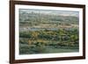 Duruji river, cow, forest, evening, road, rural, Kakheti-Sergey Orlov-Framed Photographic Print