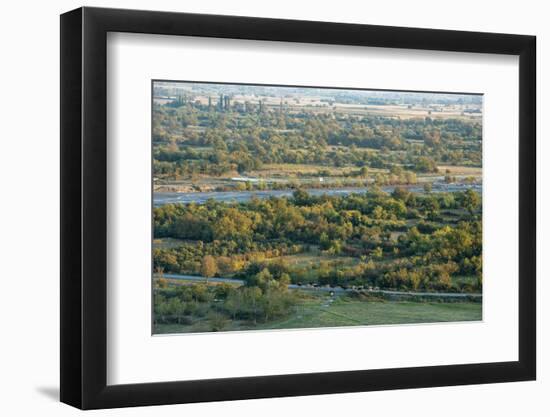 Duruji river, cow, forest, evening, road, rural, Kakheti-Sergey Orlov-Framed Photographic Print