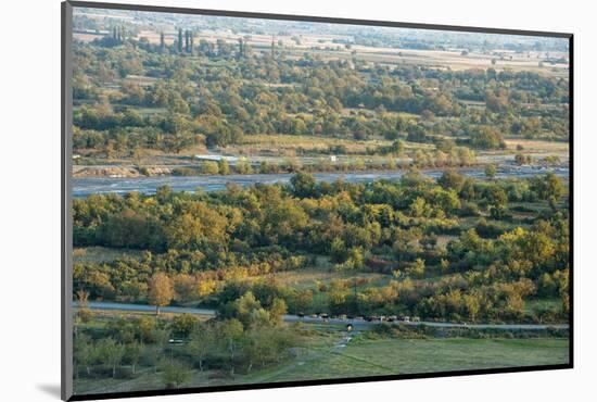 Duruji river, cow, forest, evening, road, rural, Kakheti-Sergey Orlov-Mounted Photographic Print