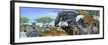 Black Frame