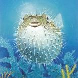 Puffer Fish-Durwood Coffey-Giclee Print