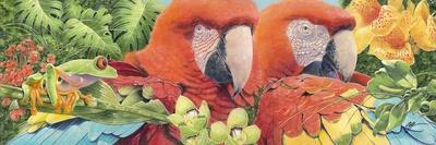 Scarlet Macaws-Durwood Coffey-Giclee Print