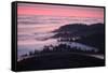 Dusk and Fog at Mount Tamalpais-Vincent James-Framed Stretched Canvas