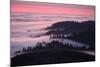 Dusk and Fog at Mount Tamalpais-Vincent James-Mounted Photographic Print