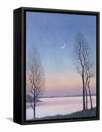 Dusk at Draycote, 2008-Ann Brain-Framed Stretched Canvas