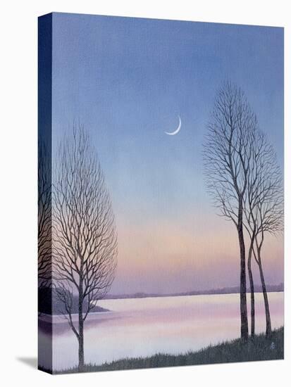 Dusk at Draycote, 2008-Ann Brain-Stretched Canvas