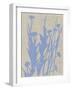 Dusk Botanical I-Chariklia Zarris-Framed Art Print