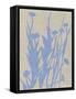 Dusk Botanical I-Chariklia Zarris-Framed Stretched Canvas