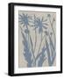 Dusk Botanical III-Chariklia Zarris-Framed Art Print