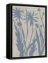 Dusk Botanical III-Chariklia Zarris-Framed Stretched Canvas