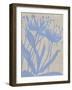 Dusk Botanical VI-Chariklia Zarris-Framed Art Print