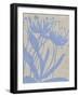 Dusk Botanical VI-Chariklia Zarris-Framed Art Print