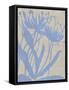 Dusk Botanical VI-Chariklia Zarris-Framed Stretched Canvas