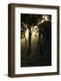 Dusk Comes to the Woodlands at the Edge of the Mara River in Kenya-Eric Peter Black-Framed Photographic Print