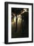 Dusk Comes to the Woodlands at the Edge of the Mara River in Kenya-Eric Peter Black-Framed Photographic Print