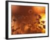 Dusk Daisies-Peter Lilja-Framed Photographic Print