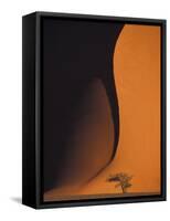 Dusk Falls on Soussevlei Sand Dunes, Namibia-Darrell Gulin-Framed Stretched Canvas