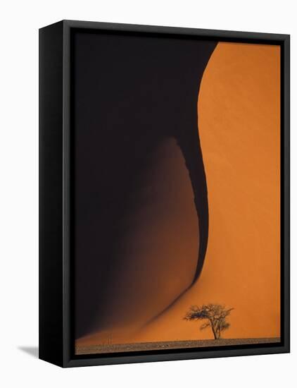 Dusk Falls on Soussevlei Sand Dunes, Namibia-Darrell Gulin-Framed Stretched Canvas