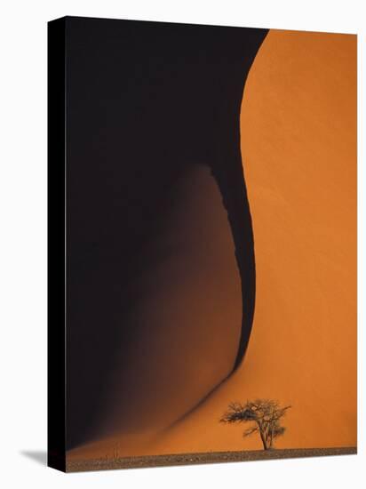 Dusk Falls on Soussevlei Sand Dunes, Namibia-Darrell Gulin-Stretched Canvas