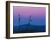 Dusk In A Field-Brenda Petrella Photography LLC-Framed Giclee Print