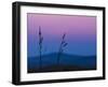 Dusk In A Field-Brenda Petrella Photography LLC-Framed Giclee Print