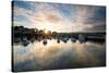 Dusk in the Harbour at Paignton, Devon England Uk-Tracey Whitefoot-Stretched Canvas