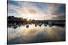 Dusk in the Harbour at Paignton, Devon England Uk-Tracey Whitefoot-Stretched Canvas