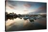 Dusk in the Harbour at Paignton, Devon England UK-Tracey Whitefoot-Stretched Canvas