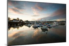 Dusk in the Harbour at Paignton, Devon England UK-Tracey Whitefoot-Mounted Photographic Print