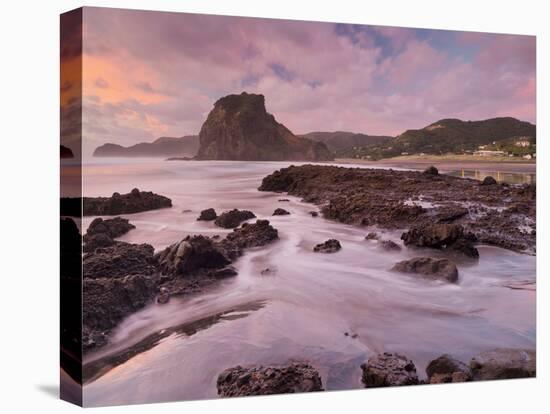Dusk in the Lion Rock, Piha, Auckland, North Island, New Zealand-Rainer Mirau-Stretched Canvas