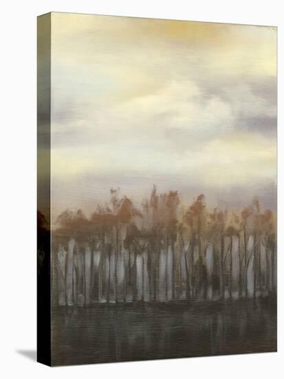 Dusk in Winter-Jennifer Goldberger-Stretched Canvas