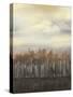 Dusk in Winter-Jennifer Goldberger-Stretched Canvas