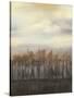 Dusk in Winter-Jennifer Goldberger-Stretched Canvas