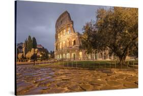 Dusk lights on the Colosseum, the old Flavian Amphitheatre, and symbol of the city, UNESCO World He-Roberto Moiola-Stretched Canvas