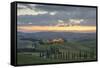 Dusk on green hills surrounded by cypresses and farm houses, Crete Senesi (Senese Clays), province -Roberto Moiola-Framed Stretched Canvas