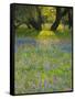 Dusk Through Oak Trees, Field of Texas Blue Bonnets and Phlox, Devine, Texas, USA-Darrell Gulin-Framed Stretched Canvas