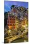 Dusk View of the Colorful Sea Village of Riomaggiore, Cinque Terre, Liguria, Italy-Stefano Politi Markovina-Mounted Photographic Print