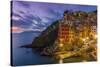 Dusk View of the Colorful Sea Village of Riomaggiore, Cinque Terre, Liguria, Italy-Stefano Politi Markovina-Stretched Canvas