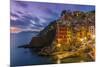 Dusk View of the Colorful Sea Village of Riomaggiore, Cinque Terre, Liguria, Italy-Stefano Politi Markovina-Mounted Photographic Print