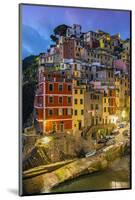 Dusk View of the Colorful Sea Village of Riomaggiore, Cinque Terre, Liguria, Italy-Stefano Politi Markovina-Mounted Photographic Print