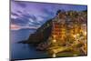 Dusk View of the Colorful Sea Village of Riomaggiore, Cinque Terre, Liguria, Italy-Stefano Politi Markovina-Mounted Photographic Print