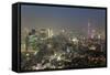 Dusk View of Tokyo from Tokyo City View Observation Deck, Roppongi Hills, Tokyo, Japan-Stuart Black-Framed Stretched Canvas